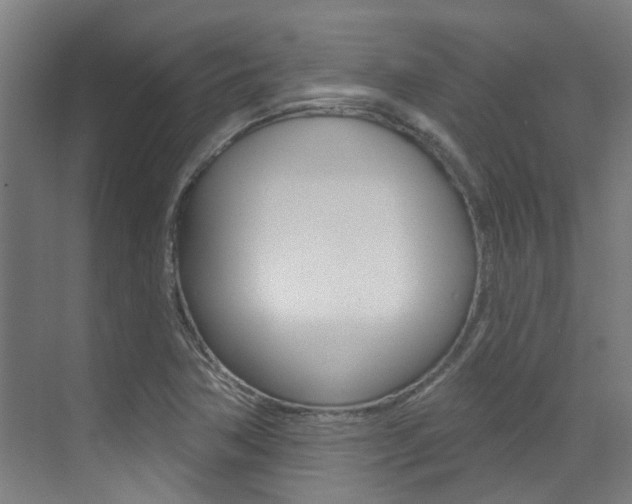 X0000073441362200607281020