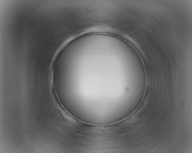 X0000073441366200607281020