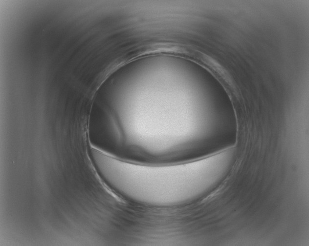 X0000073441377200607281020