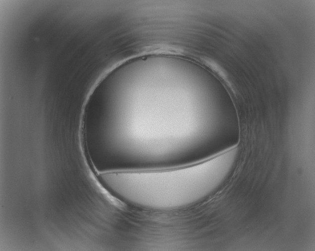 X0000073441379200607281020
