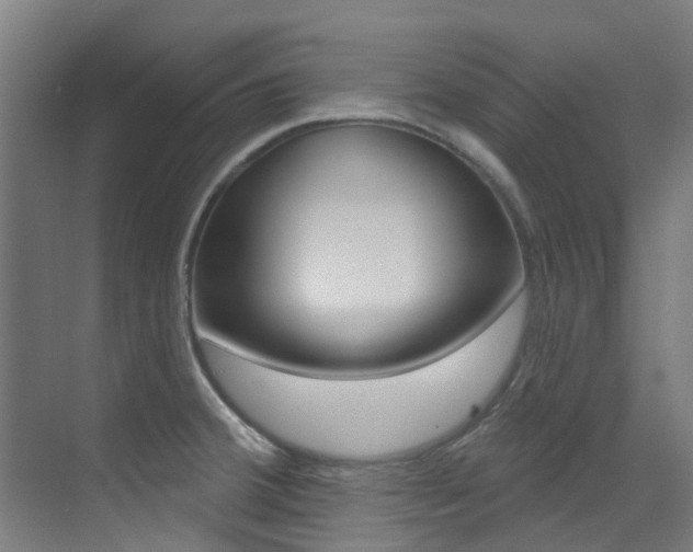 X0000073441380200607281020