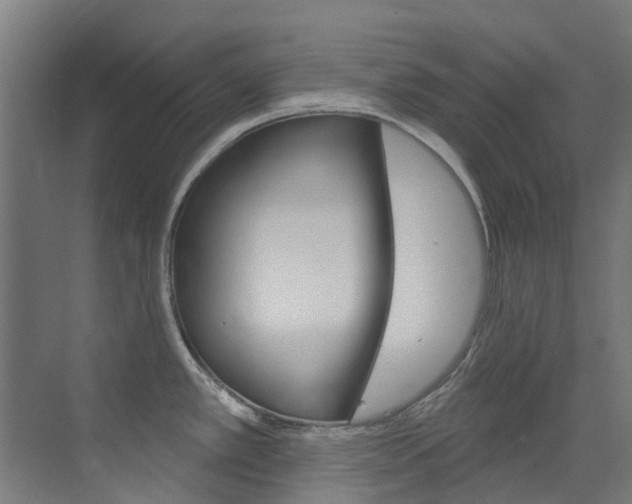 X0000073441389200607281020