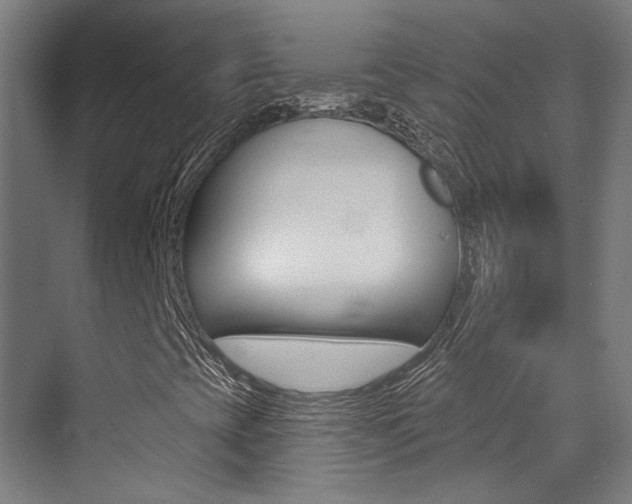 X0000073441393200607281019