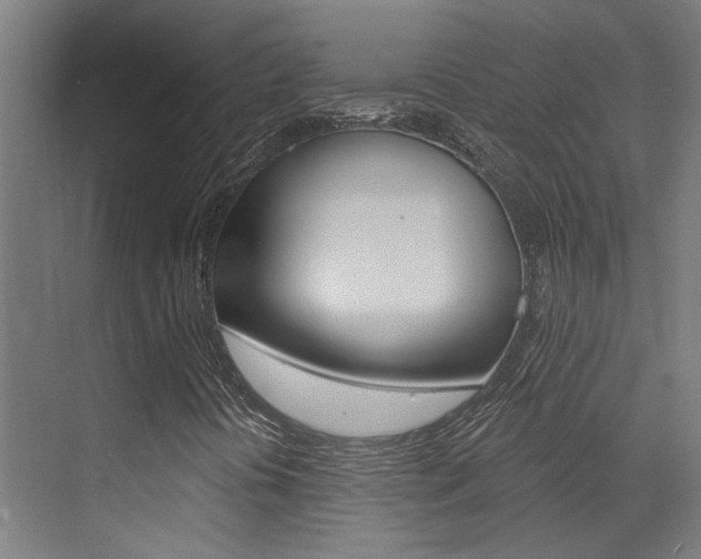 X0000073441394200607281019