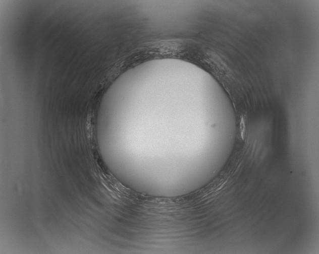 X0000073441395200607281019