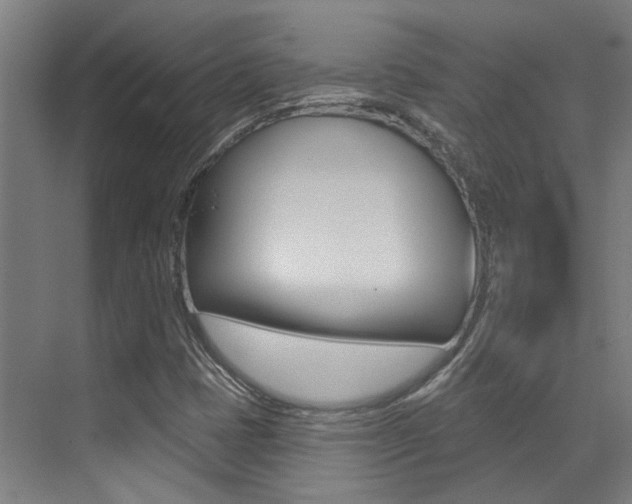 X0000073441401200607281019