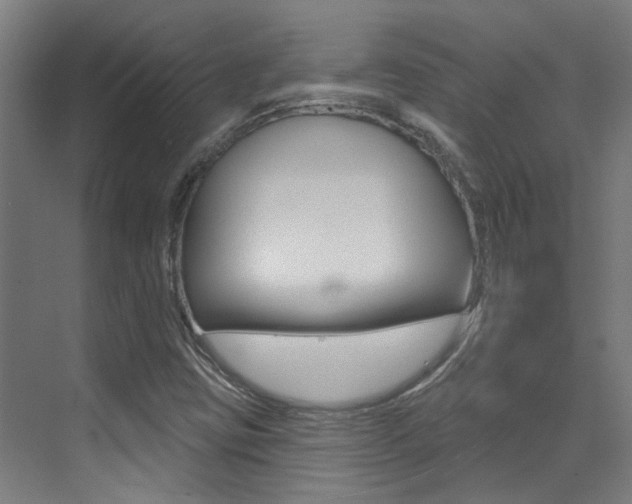 X0000073441403200607281019