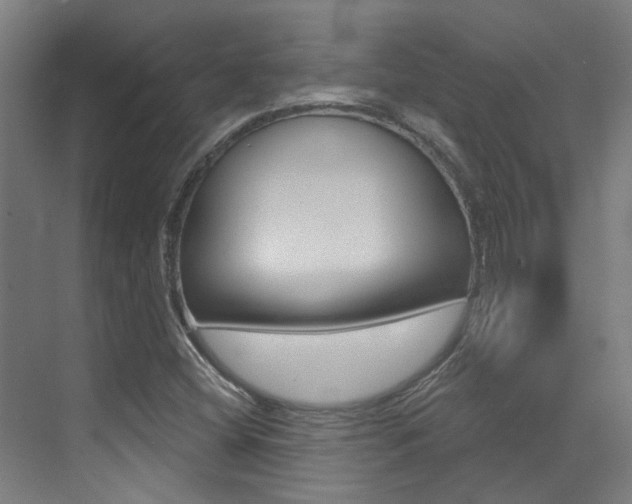 X0000073441404200607281019