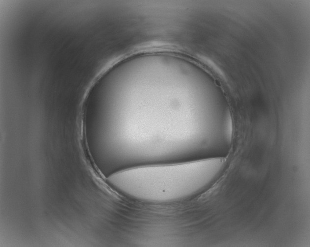 X0000073441413200607281019