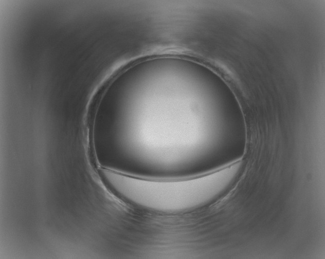 X0000073441414200607281019