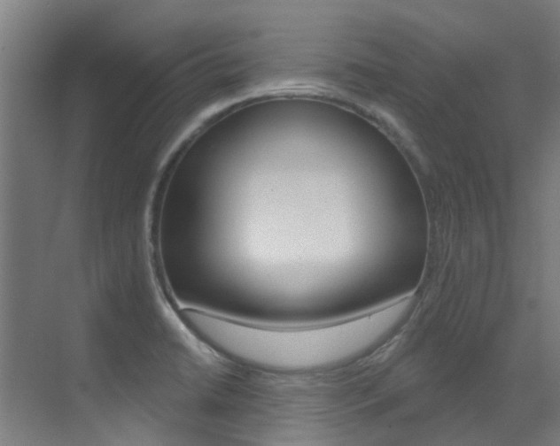X0000073441422200607281019