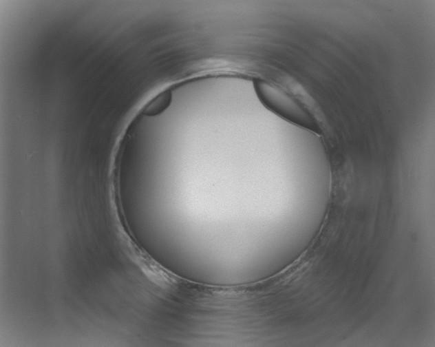 X0000073441427200607281019