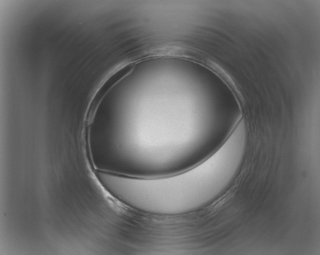 X0000073441434200607281019