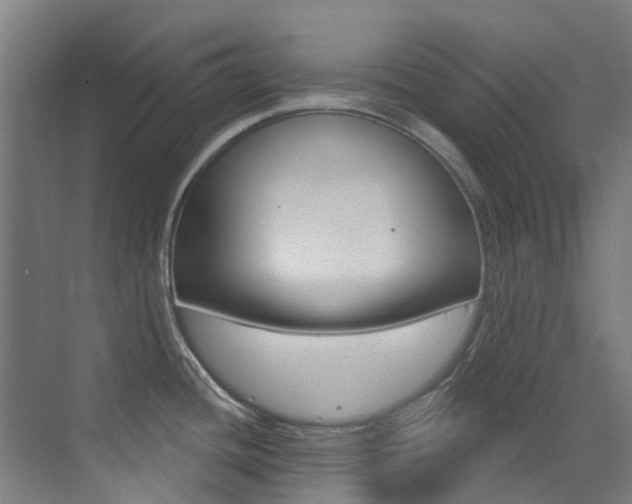 X0000073441436200607281020