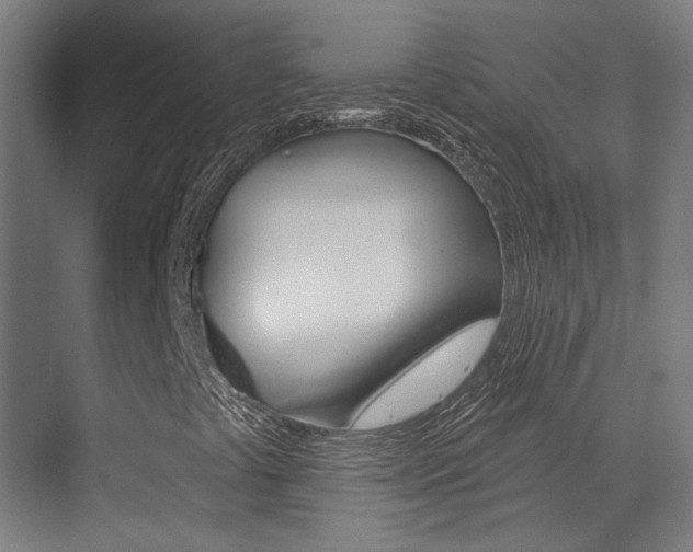 X0000073441441200607281019