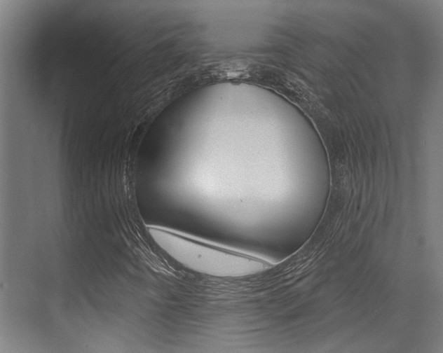 X0000073441442200607281019