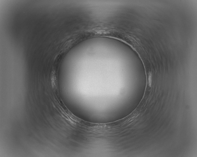 X0000073441444200607281019