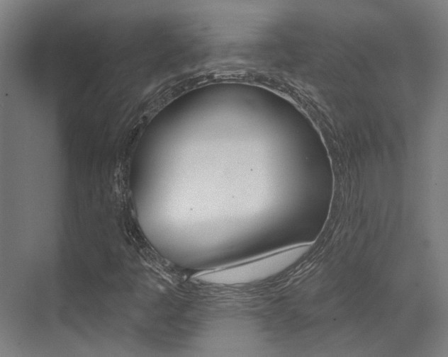X0000073441445200607281019
