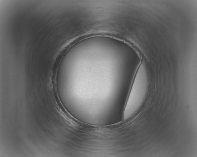 X0000073441452200607281019