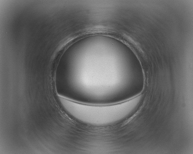 X0000073441453200607281019