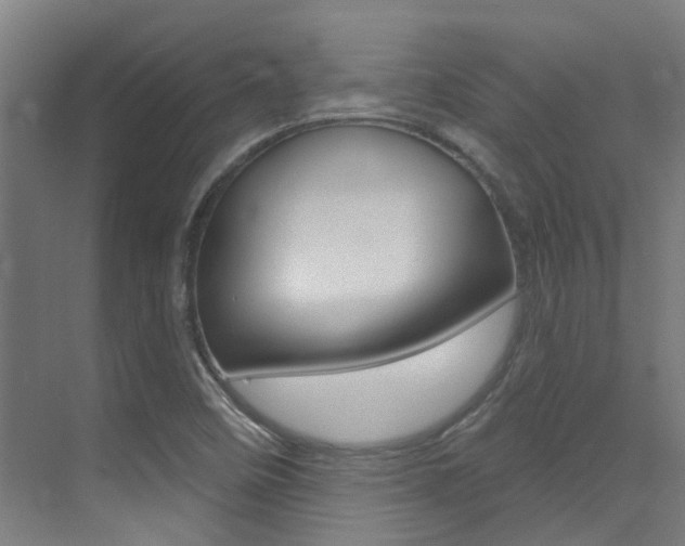 X0000073441458200607281019