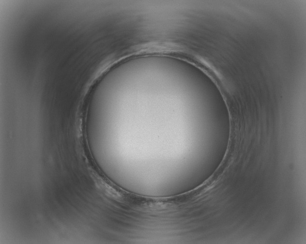 X0000073441459200607281018