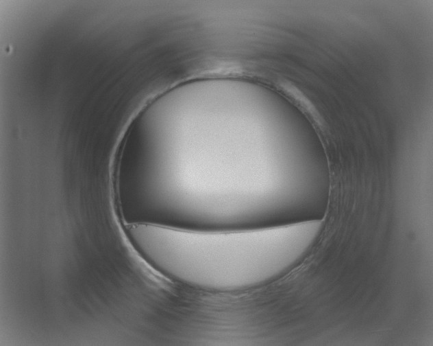 X0000073441475200607281018