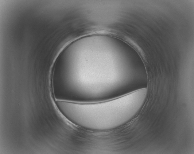 X0000073441483200607281018