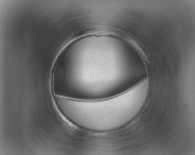 X0000073441484200607281018