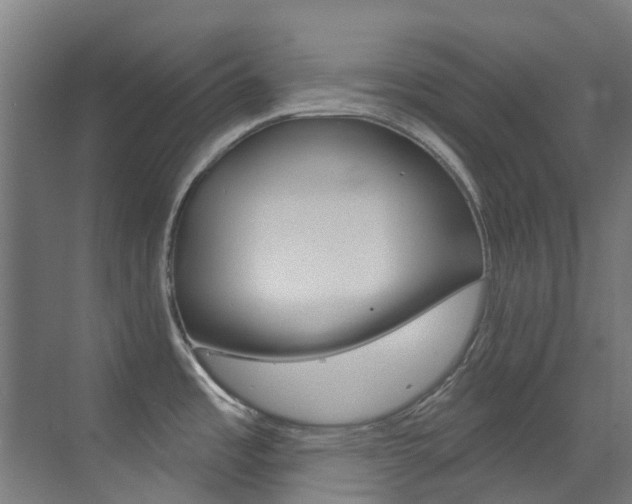 X0000073441485200607281018