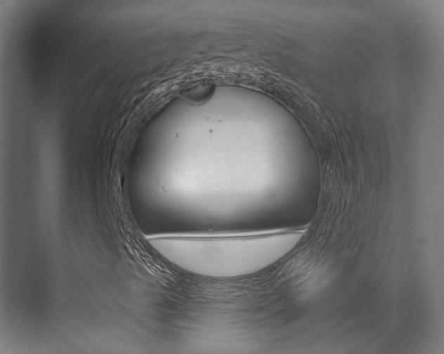 X0000073441489200607281017