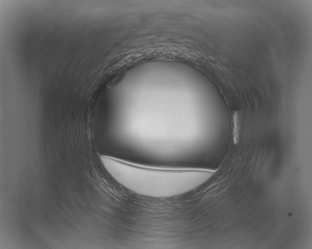 X0000073441491200607281017