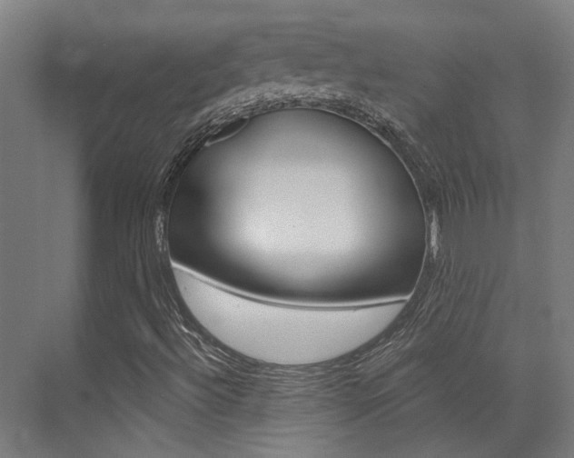 X0000073441492200607281017