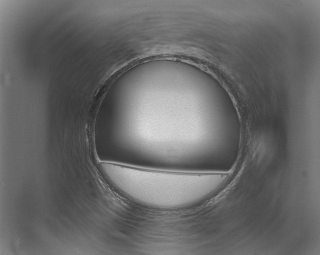 X0000073441497200607281017