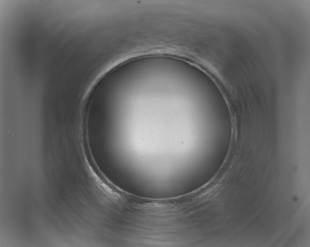 X0000073441500200607281017