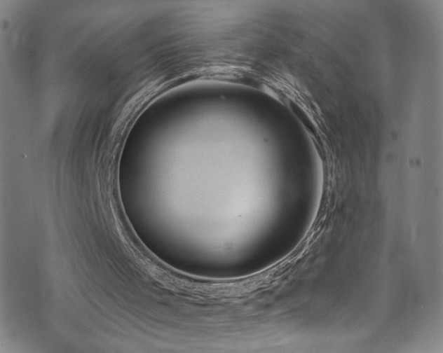 X0000073440001200607281228