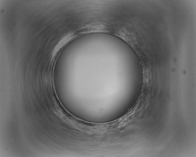 X0000073440004200607281228