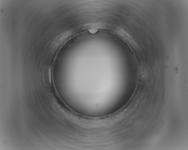 X0000073440014200607281228