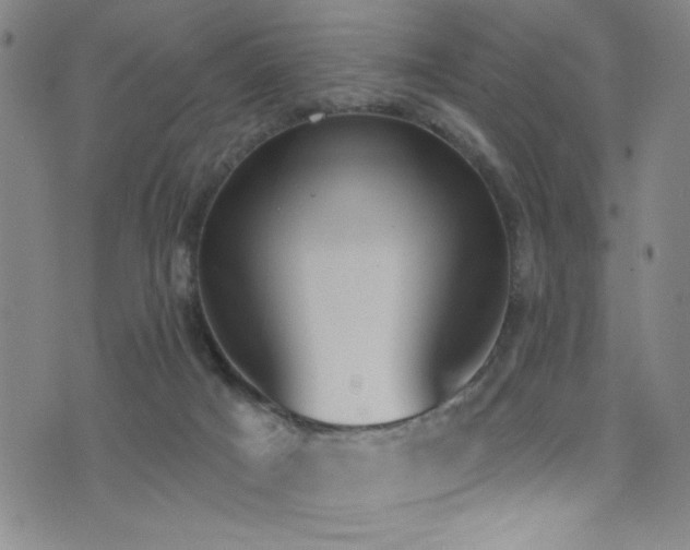 X0000073440025200607281228