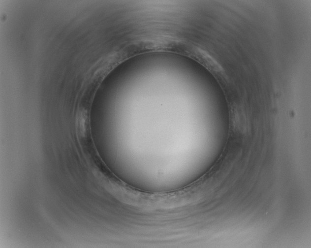 X0000073440026200607281228