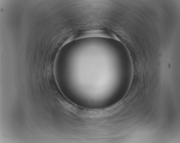 X0000073440037200607281227