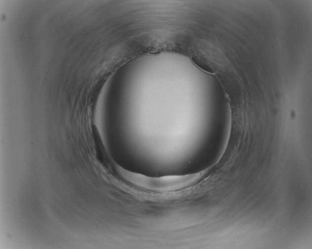 X0000073440039200607281227