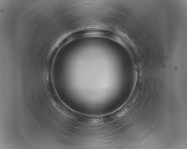 X0000073440060200607281227