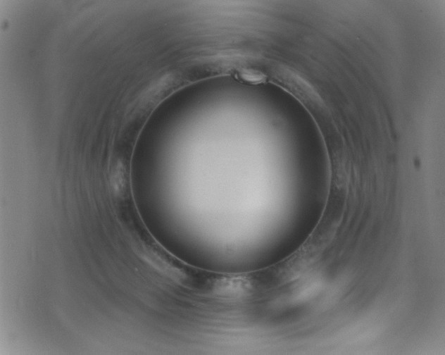 X0000073440077200607281227
