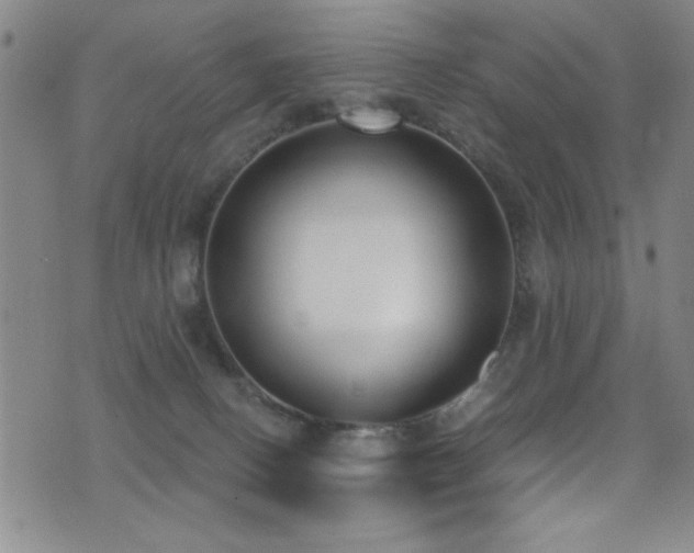 X0000073440082200607281227