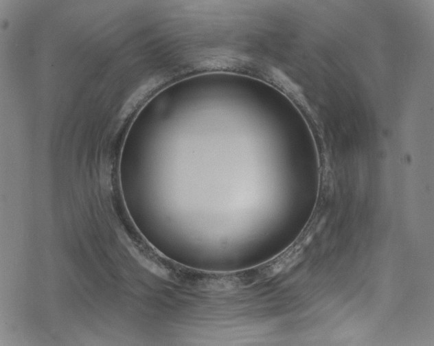 X0000073440106200607281226