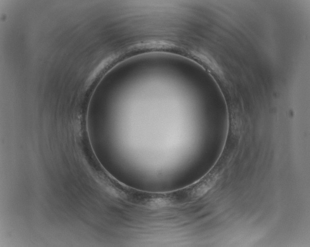 X0000073440111200607281226