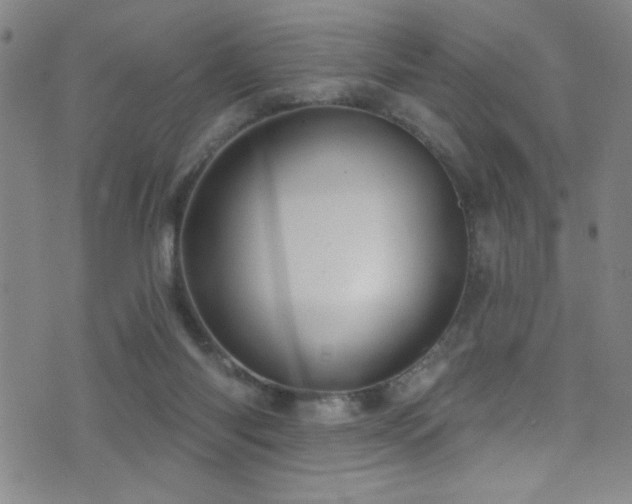 X0000073440118200607281226