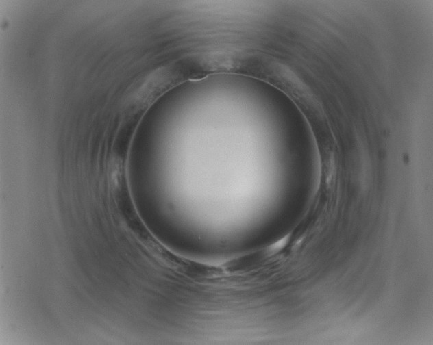 X0000073440125200607281226