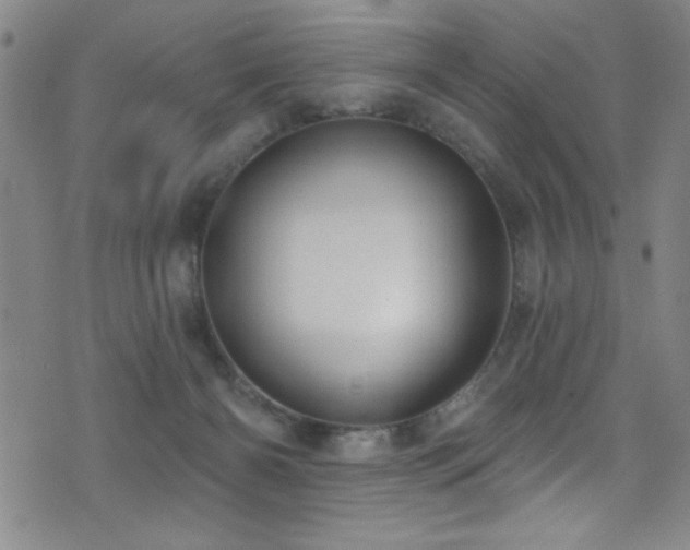 X0000073440126200607281226